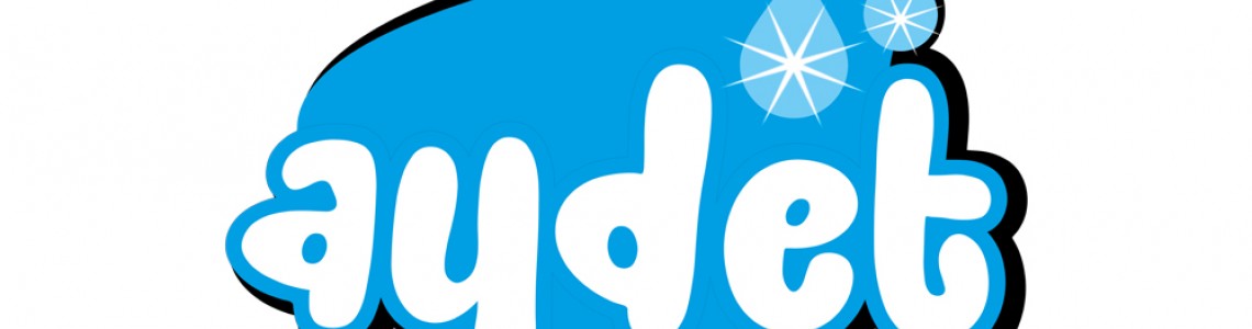 Пятновыводители для ковров Aydet